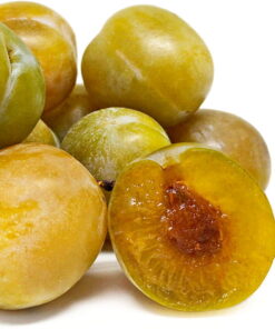 Plūmju-aprikoze ''Flavor queen''