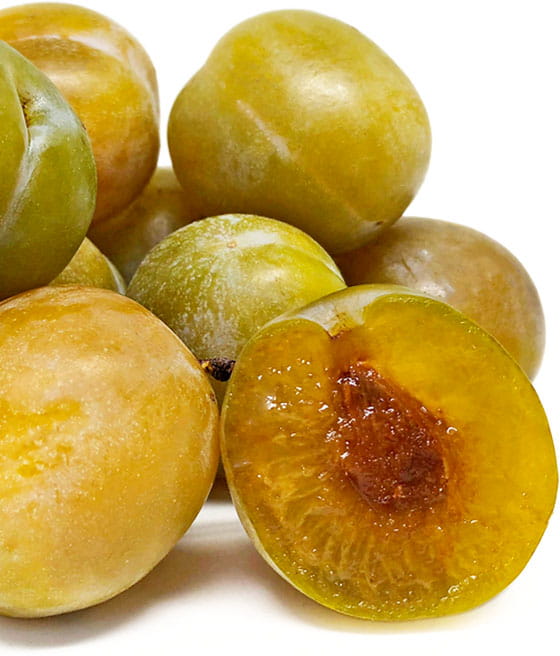 Plūmju-aprikoze ''Flavor queen''